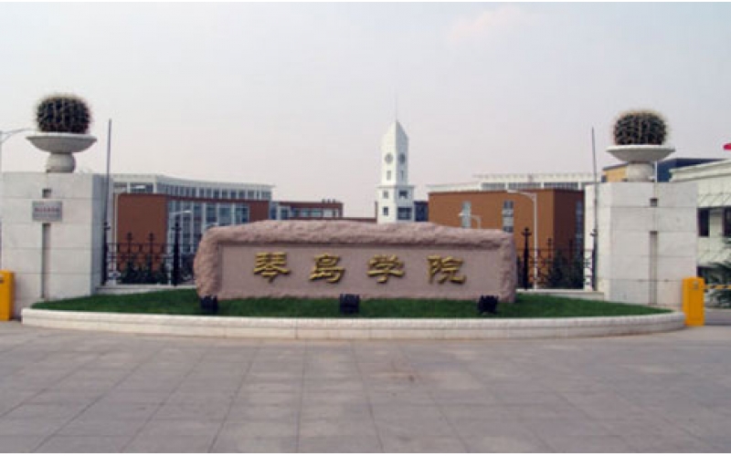 理工大學(xué)琴島學(xué)院清洗